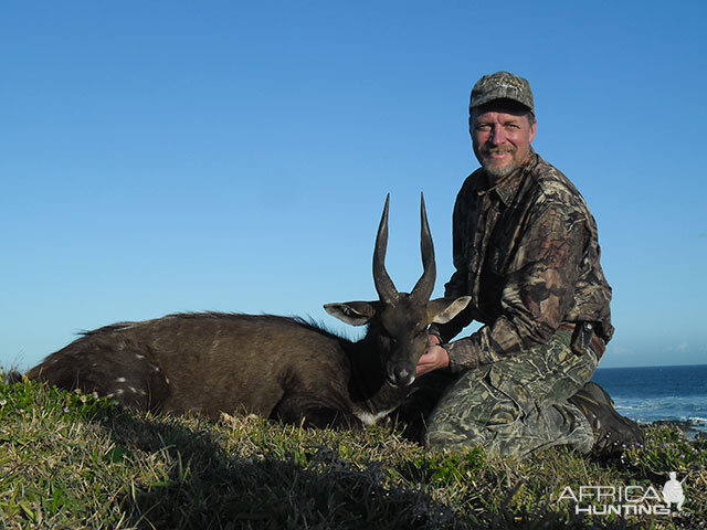 Hunting Bushbuck