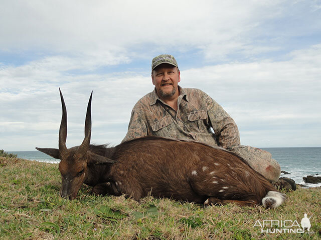 Hunting Bushbuck