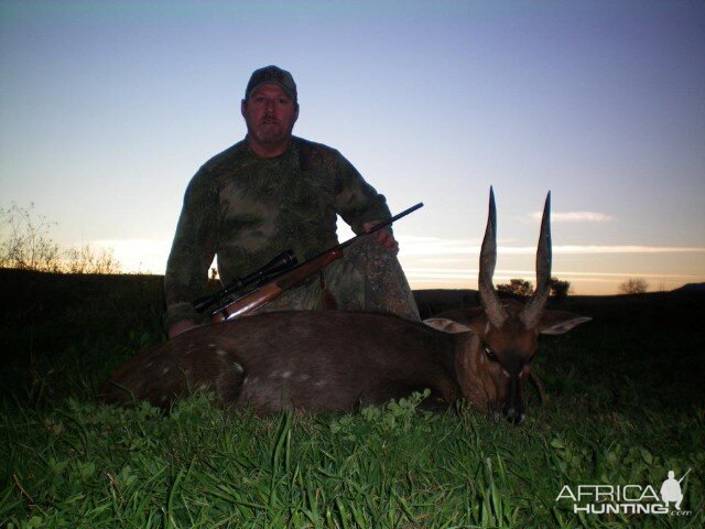 Hunting Bushbuck