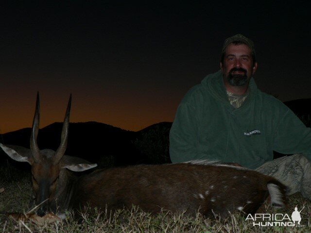 Hunting Bushbuck