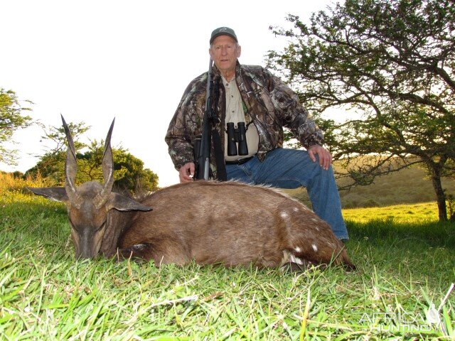 Hunting Bushbuck