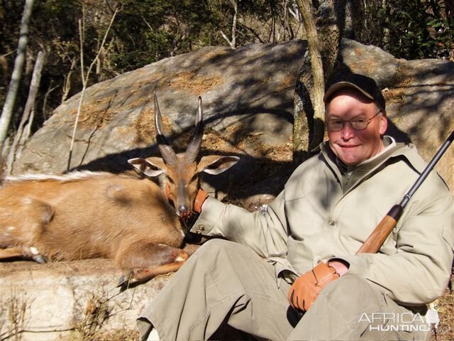 Hunting Bushbuck