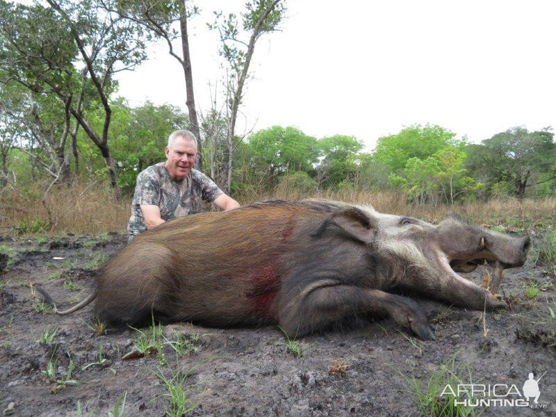 Hunting Bushpig in Mozambique