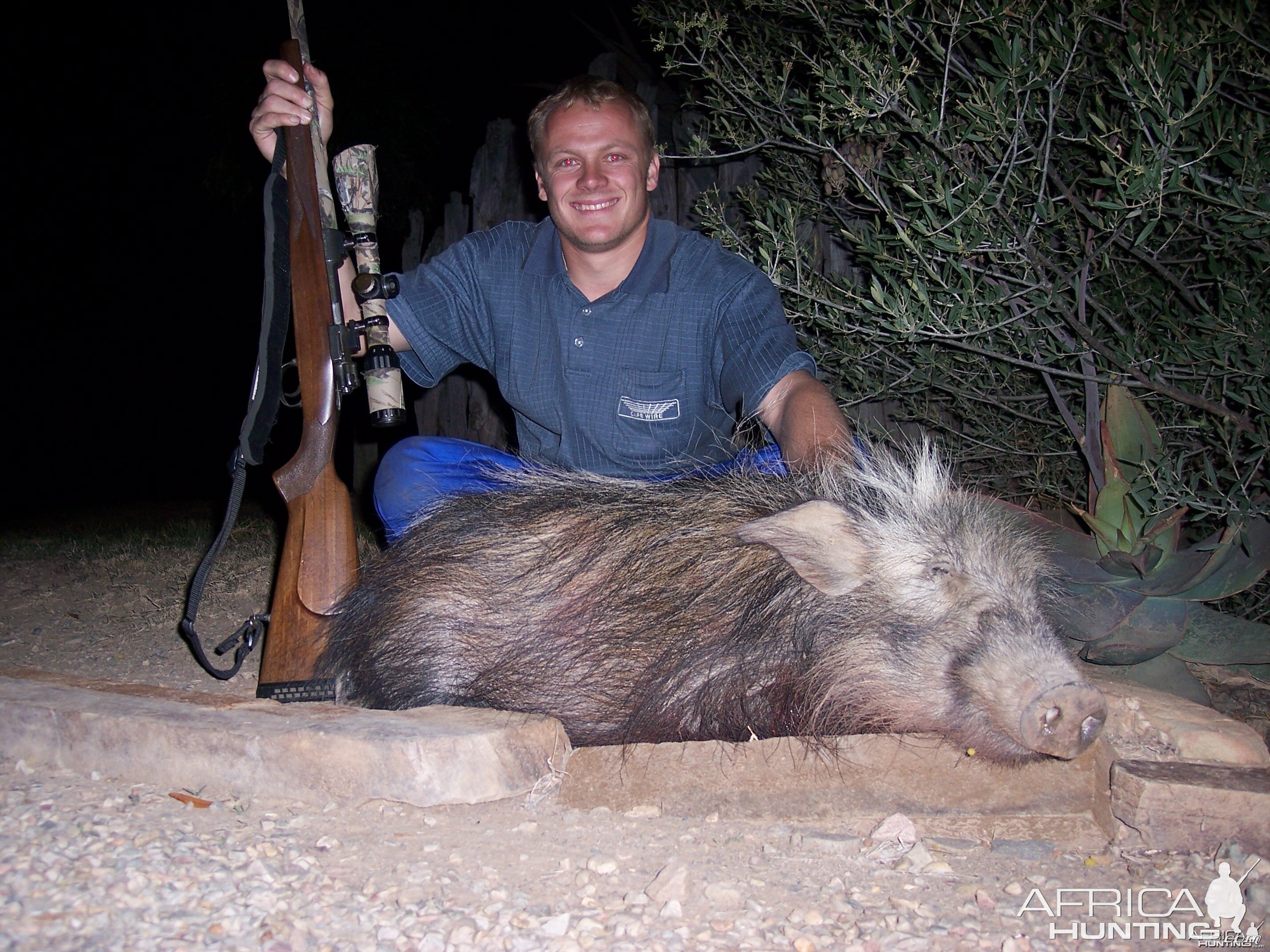 Hunting Bushpig