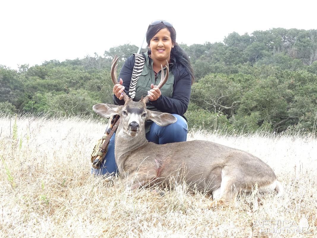 Hunting California Coastal Blacktail Deer