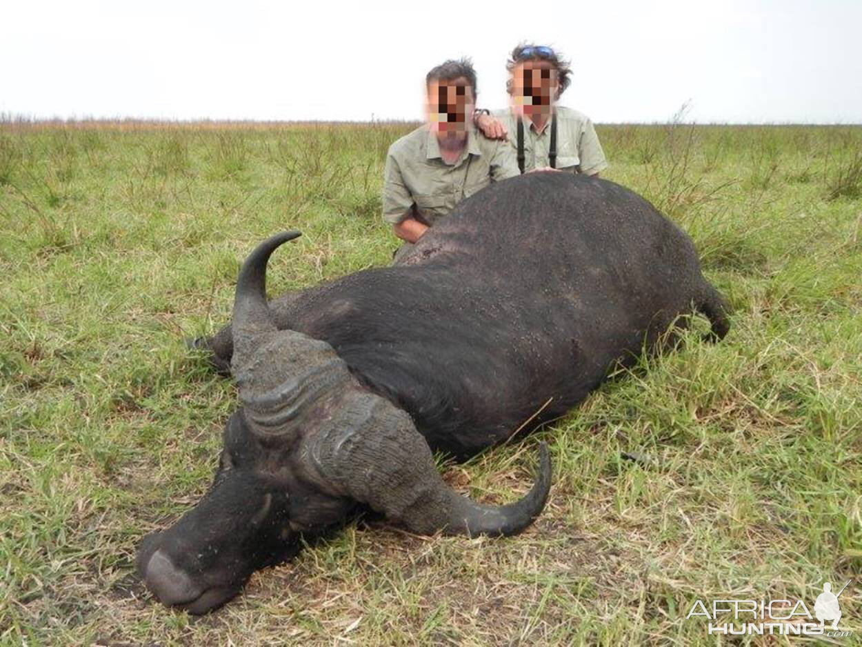 Hunting Cape Buffalo in Mozambique