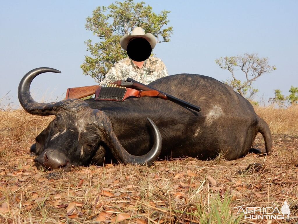 Hunting Cape Buffalo in South Africa