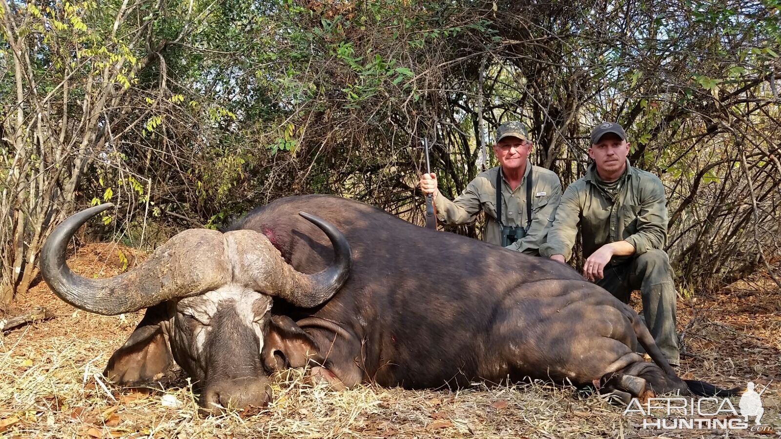 Hunting Cape Buffalo in Tanzania