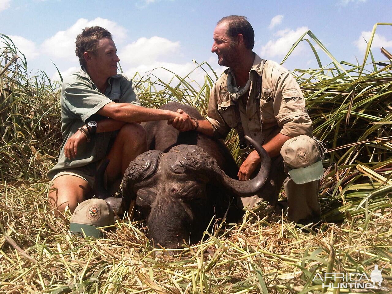 Hunting Cape Buffalo Mozambique