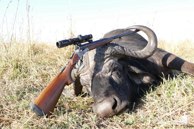 Hunting Cape Buffalo Namibia | AfricaHunting.com