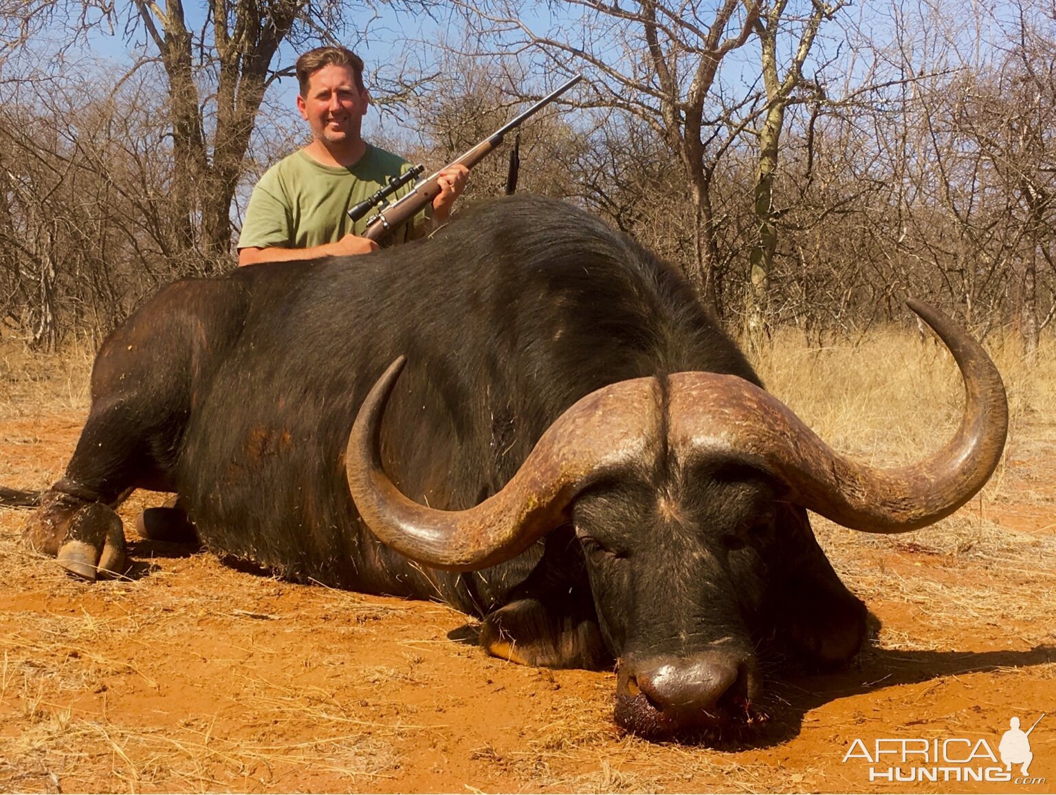 Hunting Cape Buffalo South Africa