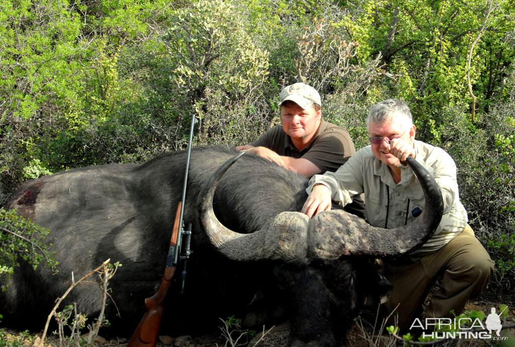 Hunting Cape Buffalo South Africa