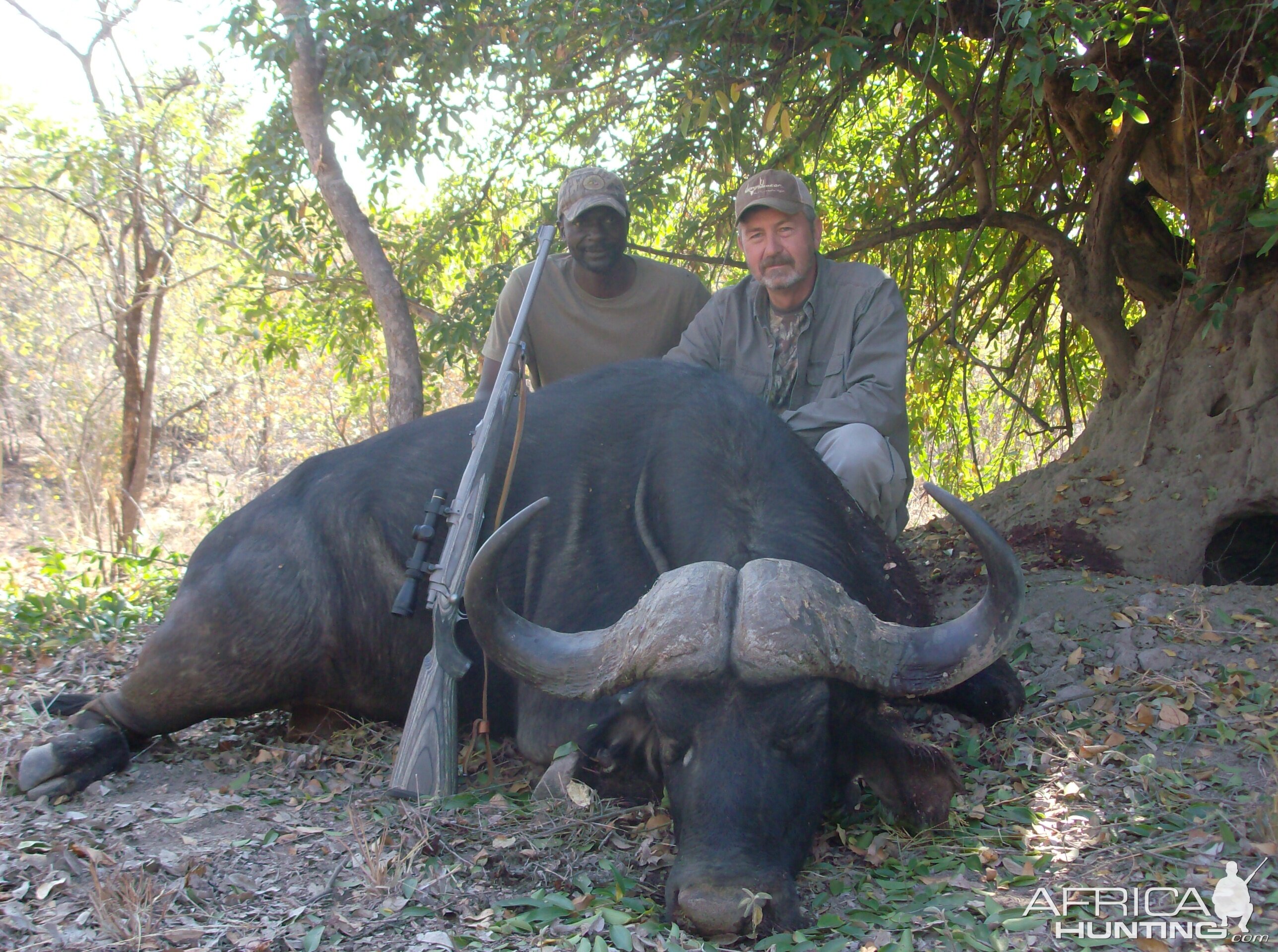 Cape Buffalo with Ruger Alaskan in 375 Ruger/ Leupold 1.5 | AfricaHunting.com