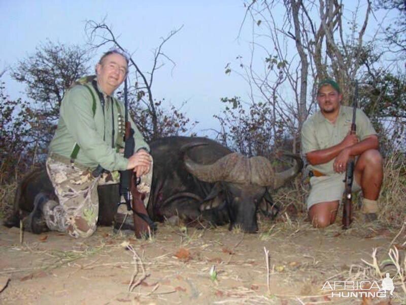 Hunting Cape Buffalo