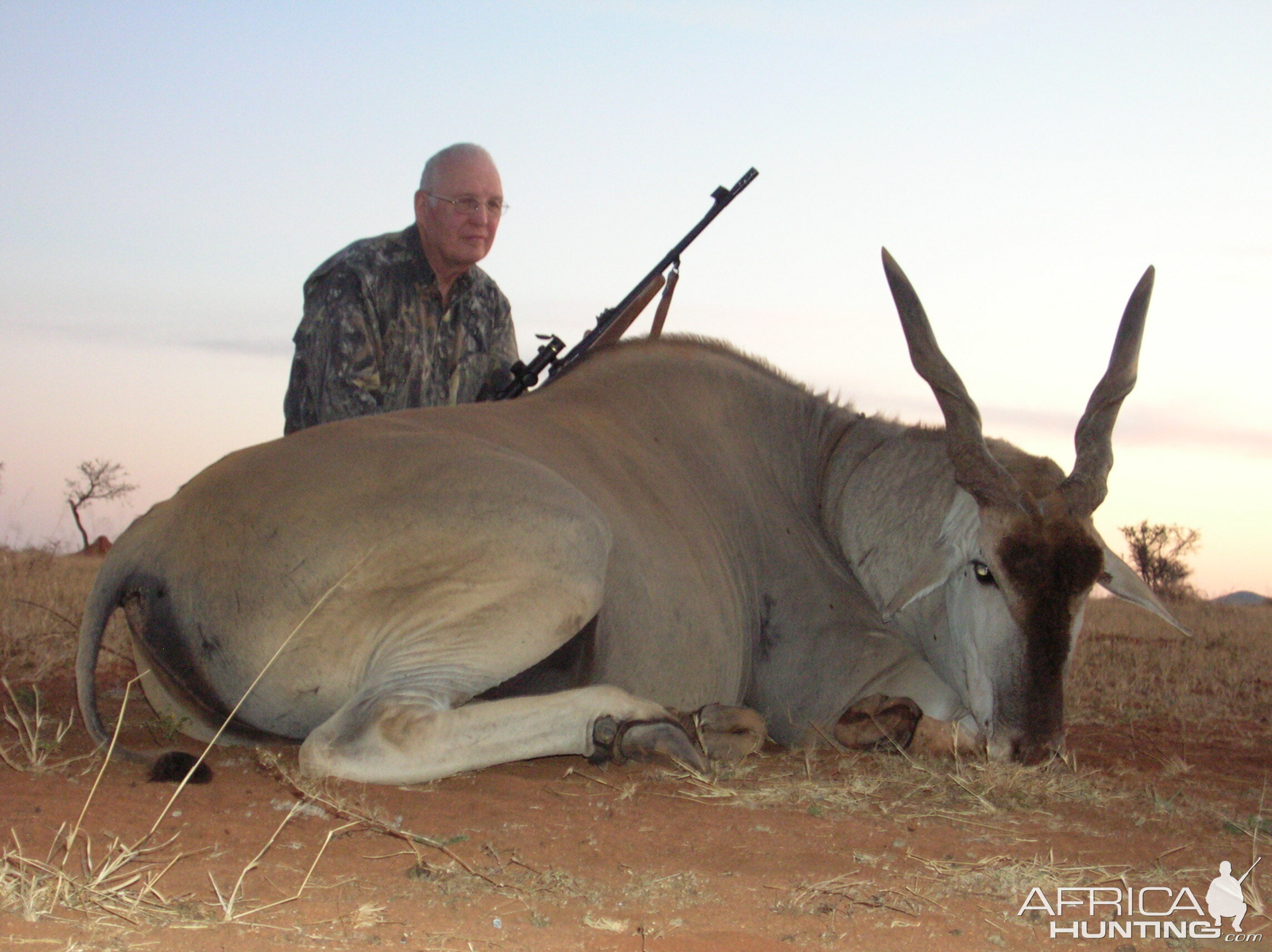 Hunting Cape Eland in Namibia