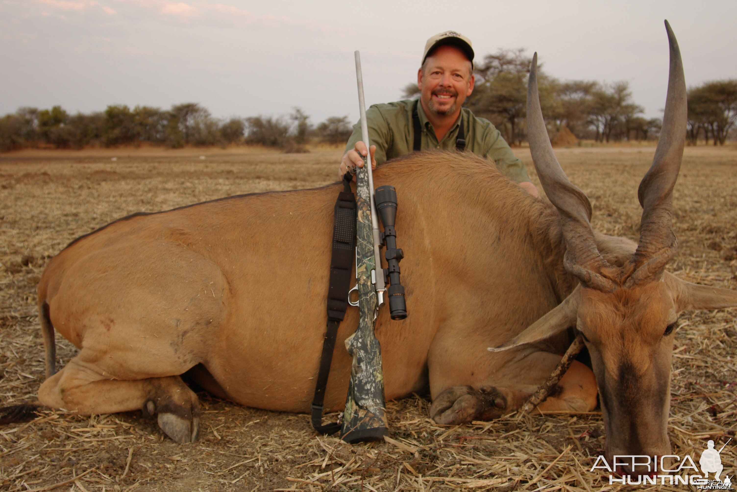 Hunting Cape Eland in Namibia