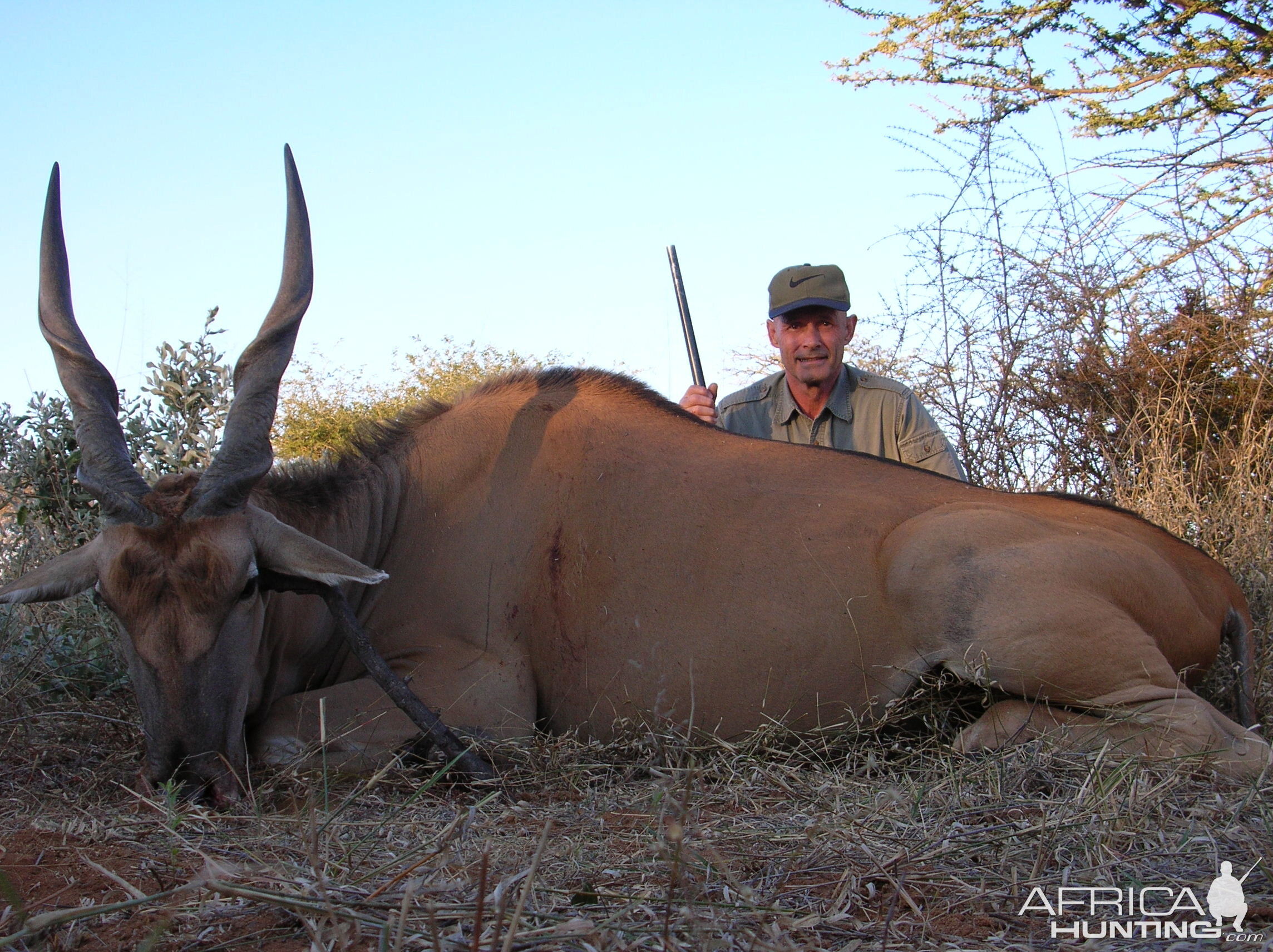 Hunting Cape Eland in Namibia