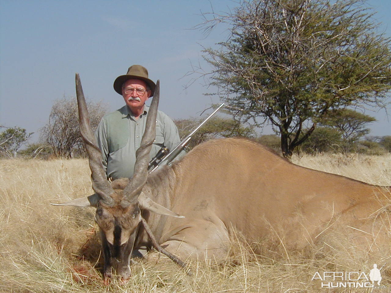 Hunting Cape Eland In Namibia | AfricaHunting.com