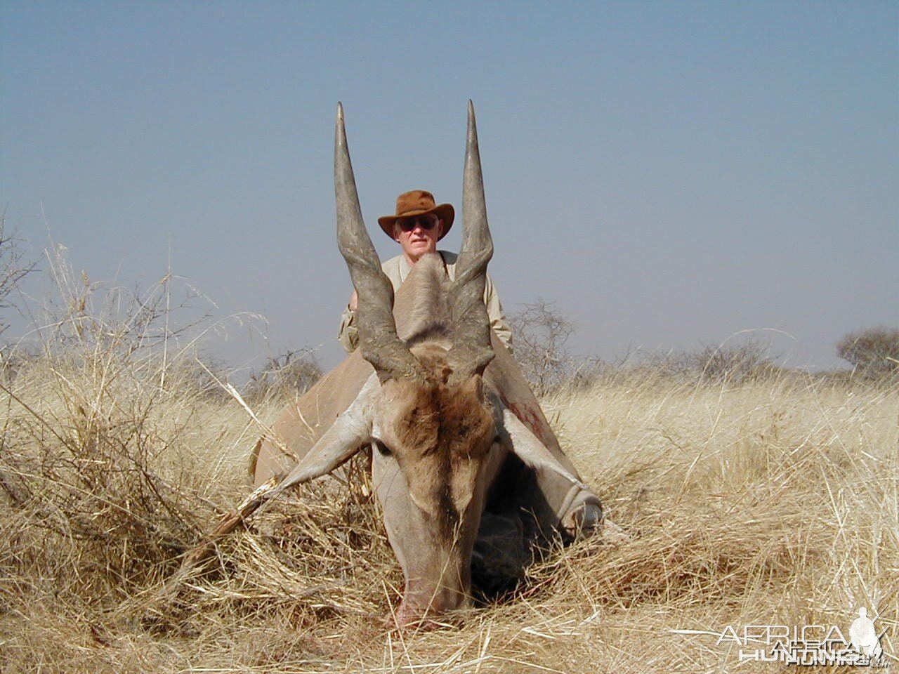 Hunting Cape Eland in Namibia