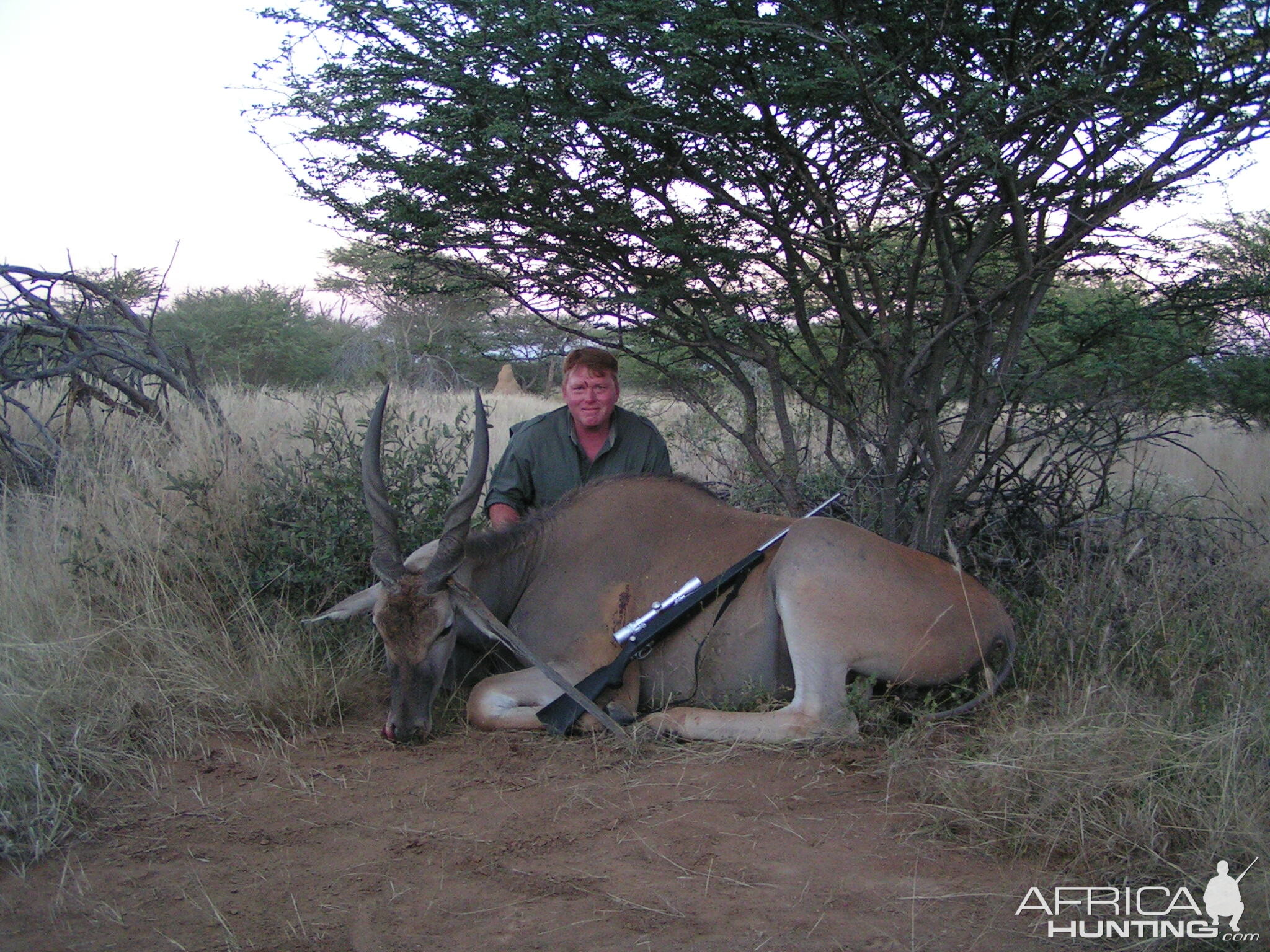 Hunting Cape Eland in Namibia