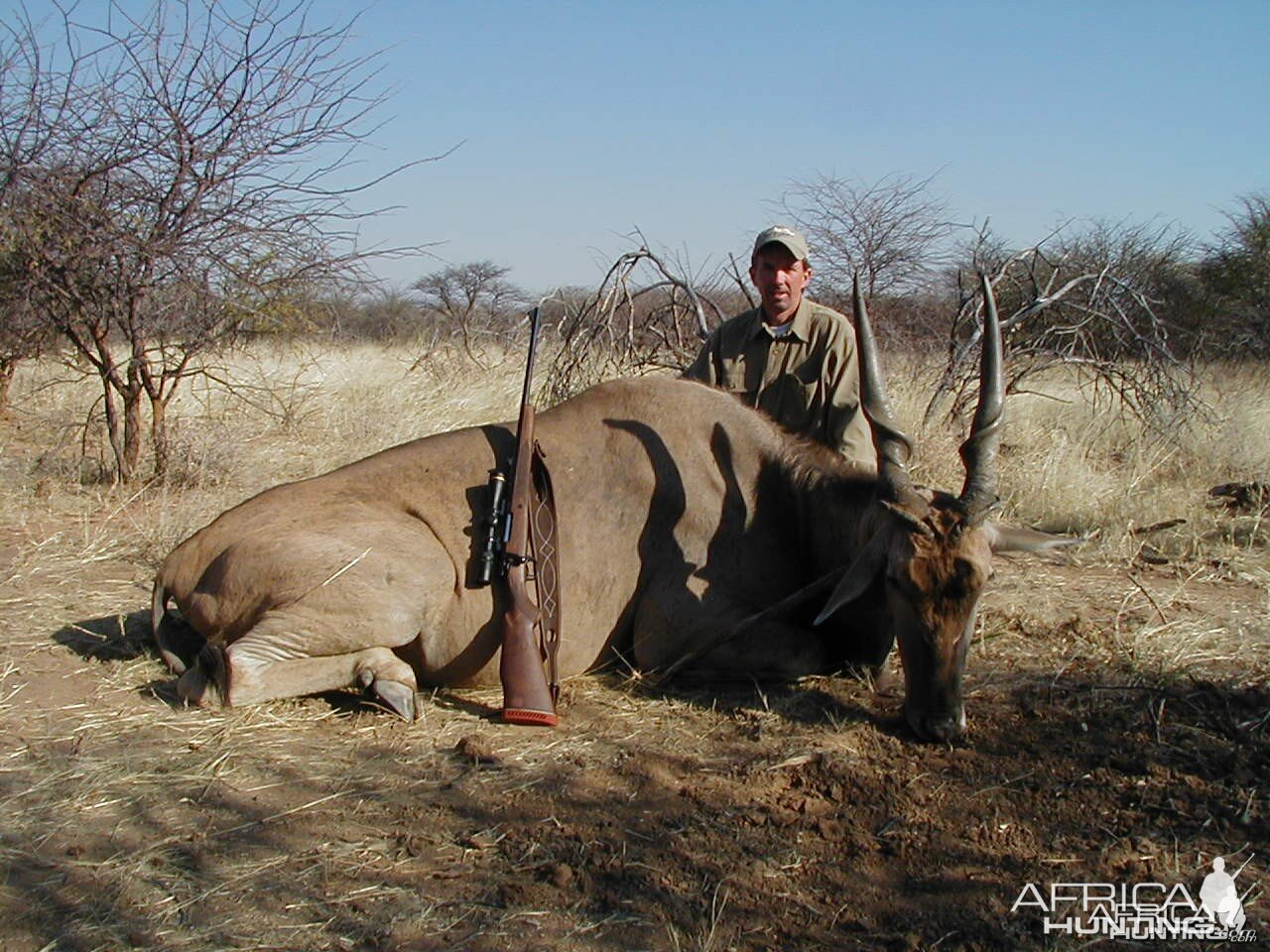 Hunting Cape Eland in Namibia