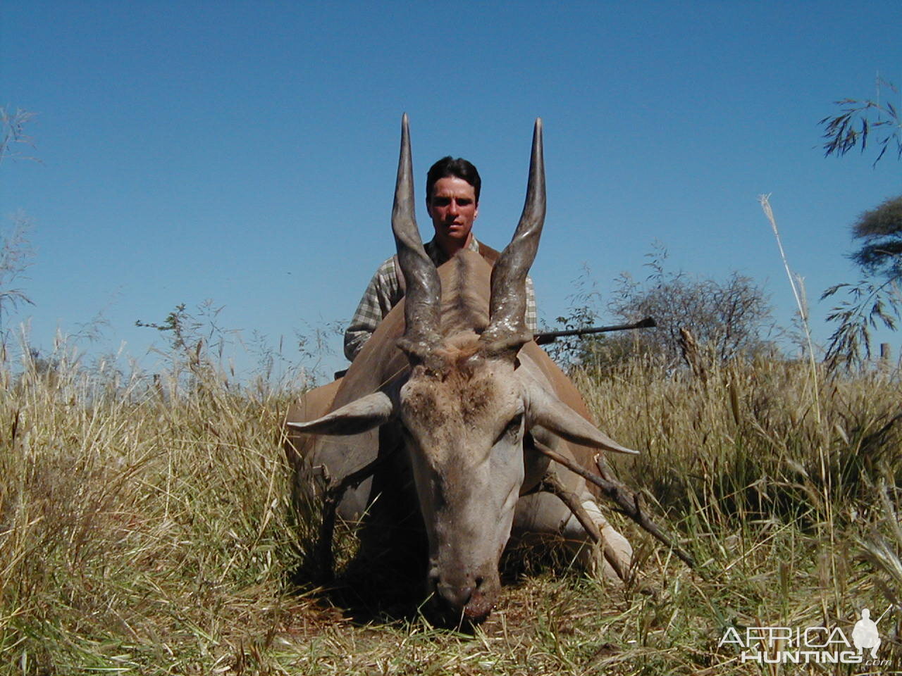 Hunting Cape Eland in Namibia