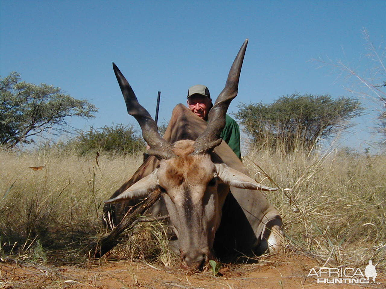 Hunting Cape Eland in Namibia