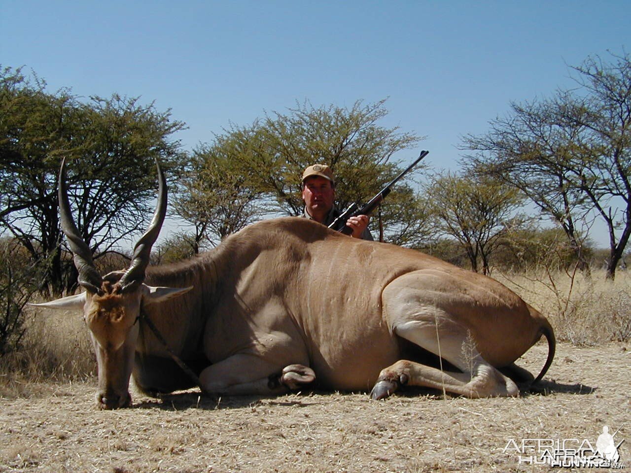 Hunting Cape Eland in Namibia