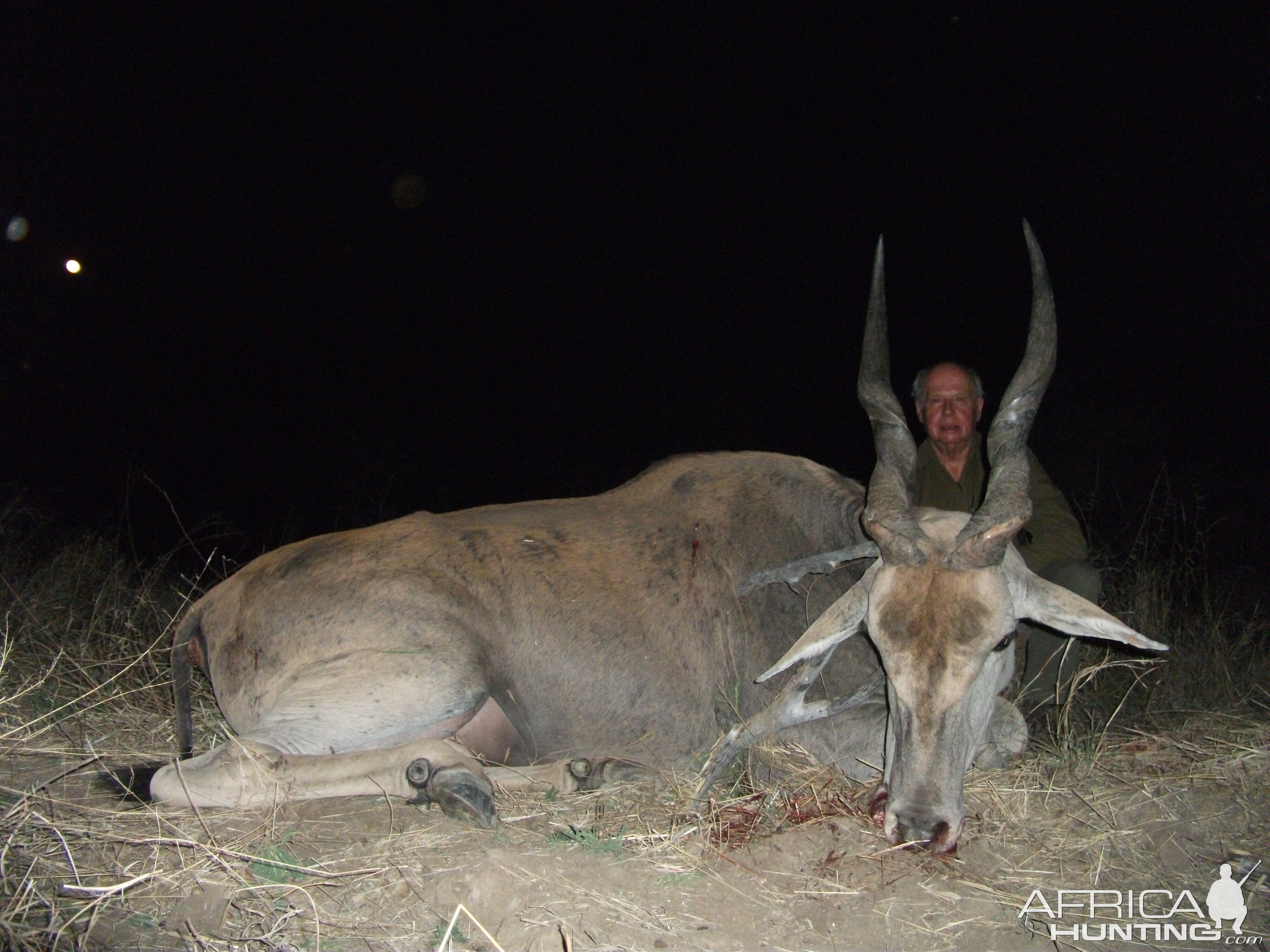 Hunting Cape Eland in Namibia