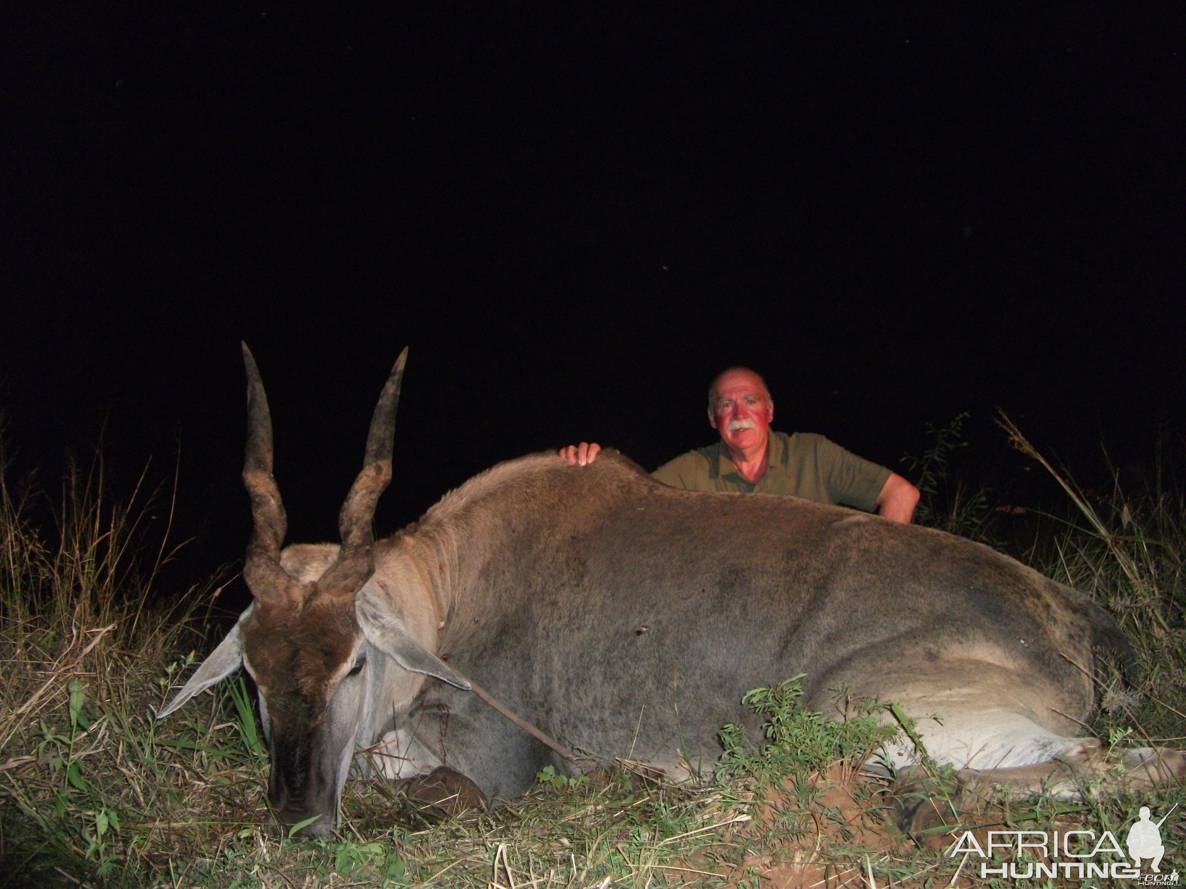 Hunting Cape Eland in Namibia