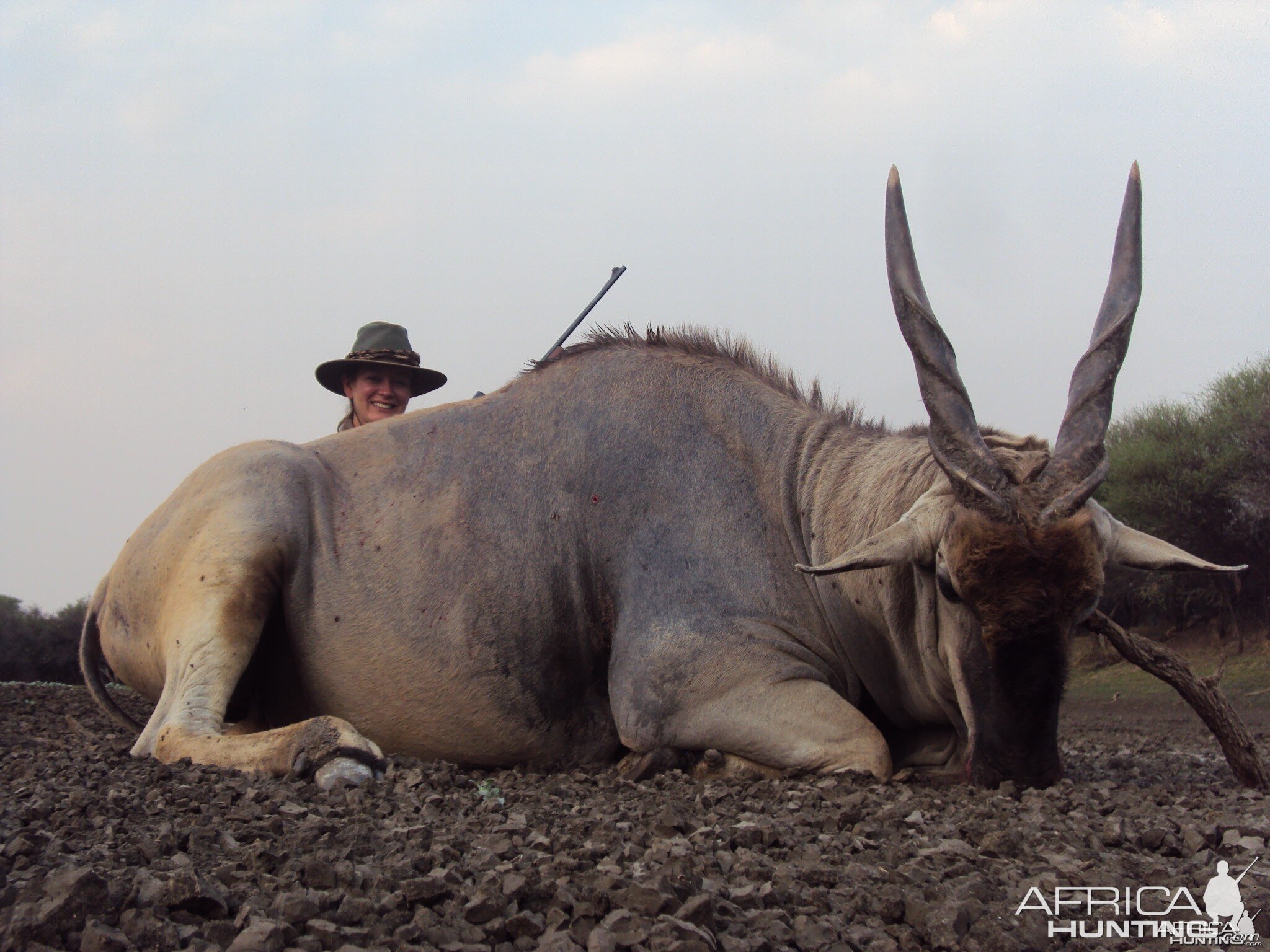 Hunting Cape Eland in Namibia