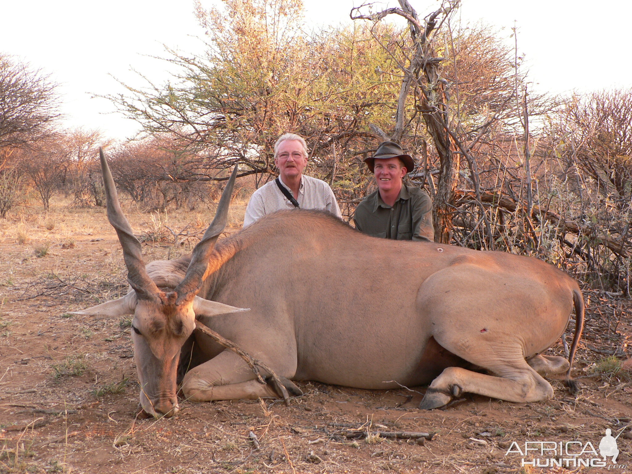 Hunting Cape Eland in Namibia