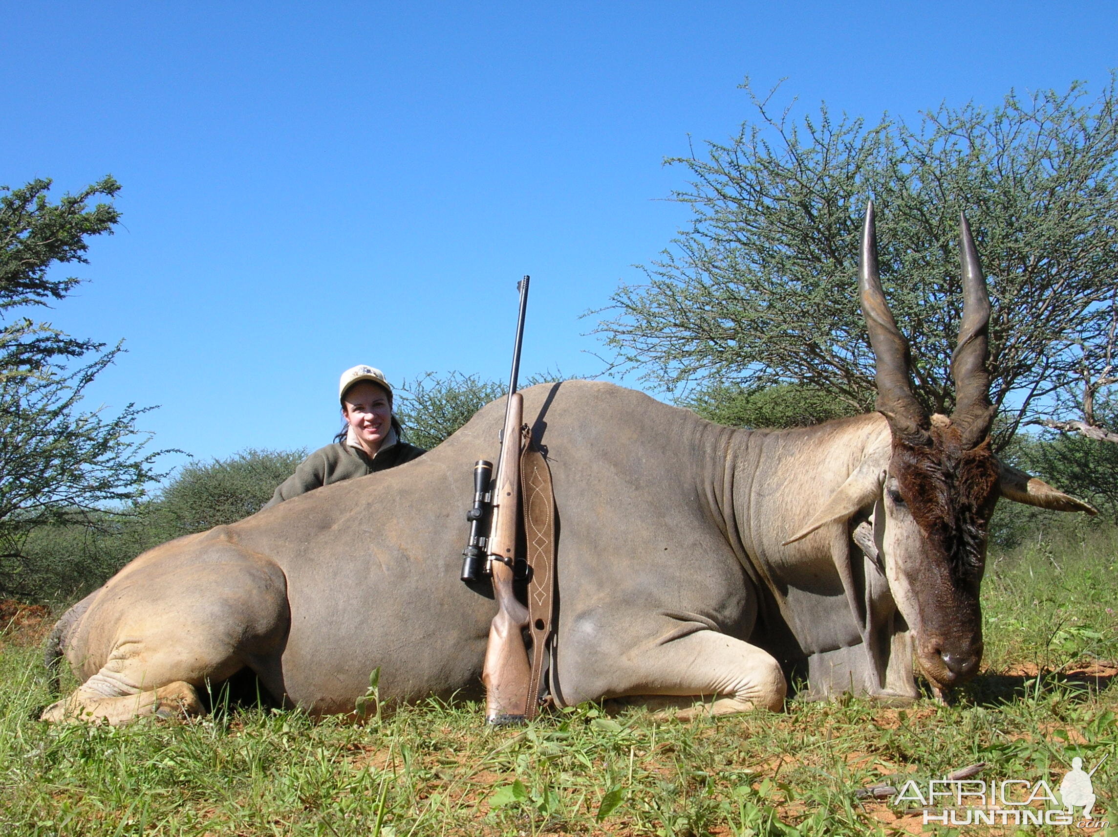 Hunting Cape Eland in Namibia