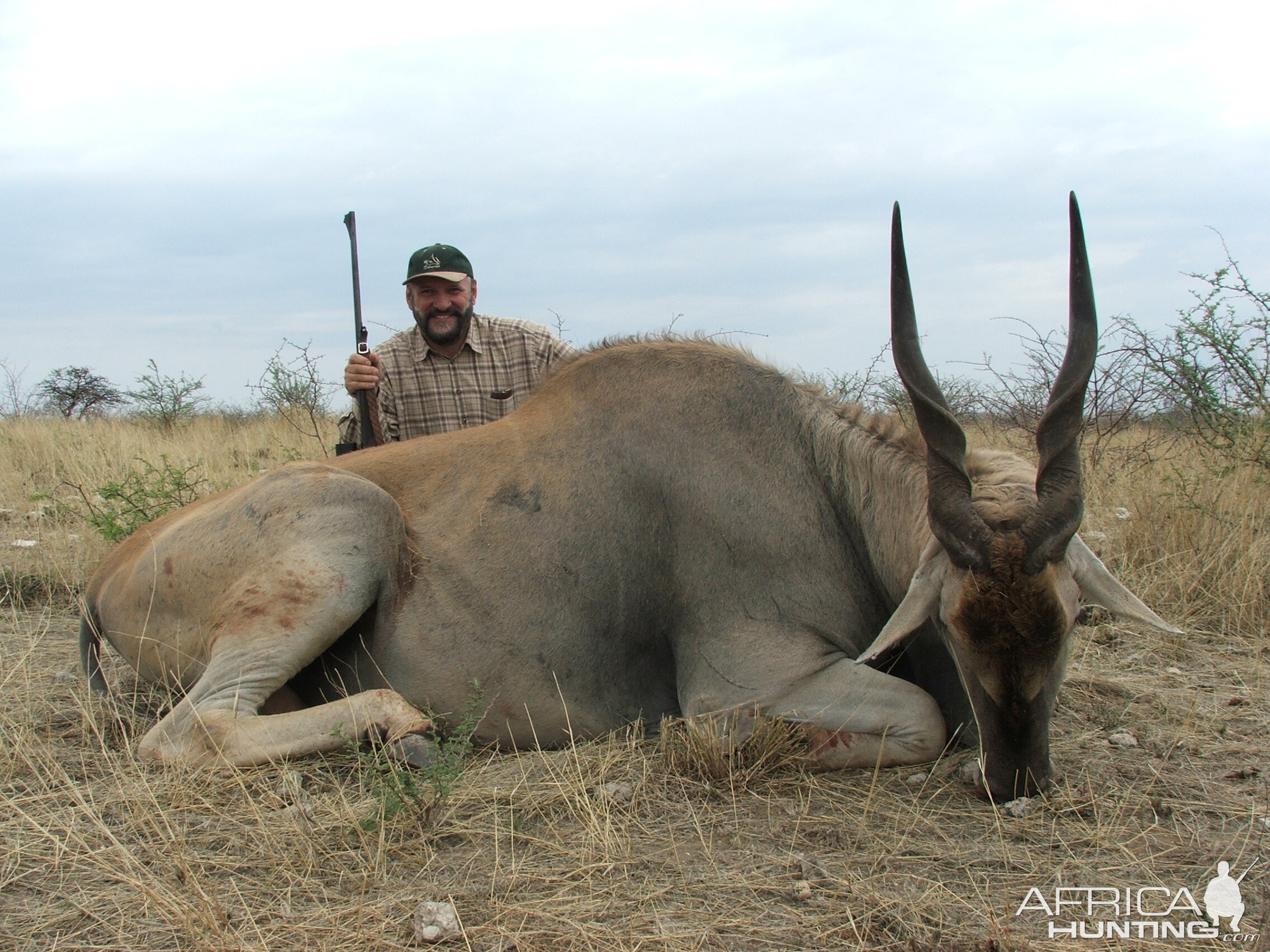 Hunting Cape Eland