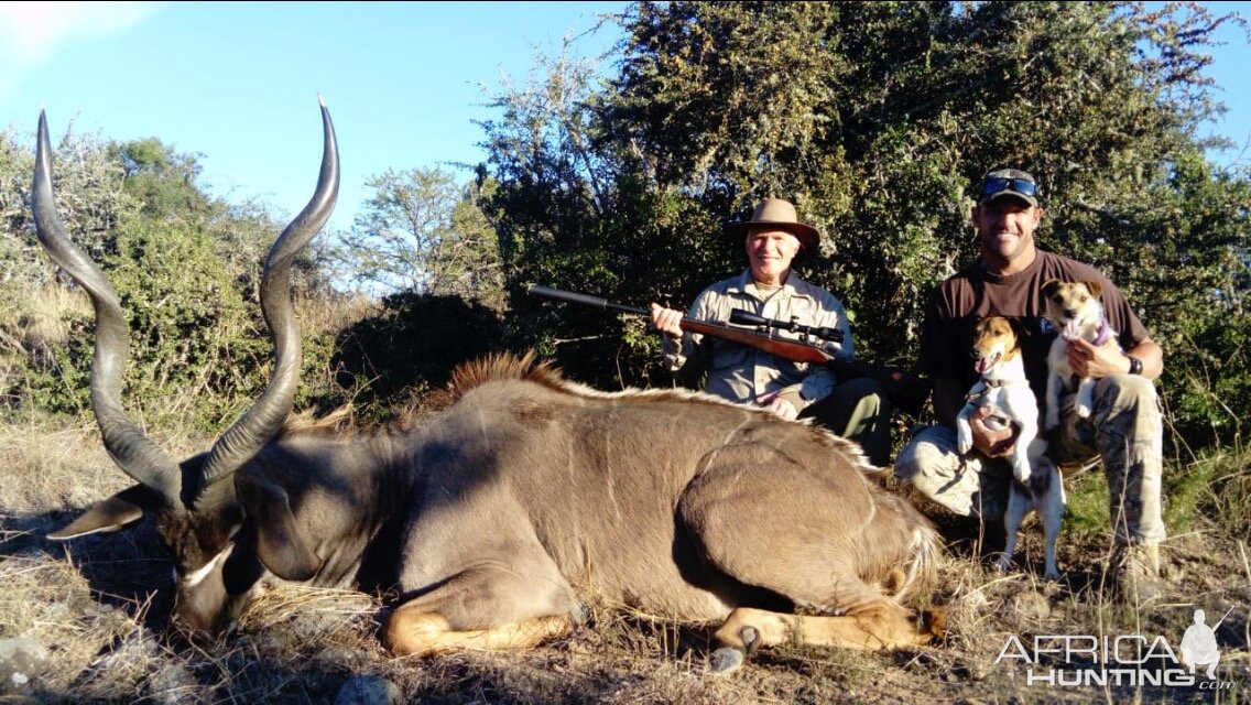 Hunting Cape Kudu South Africa 3S Safaris