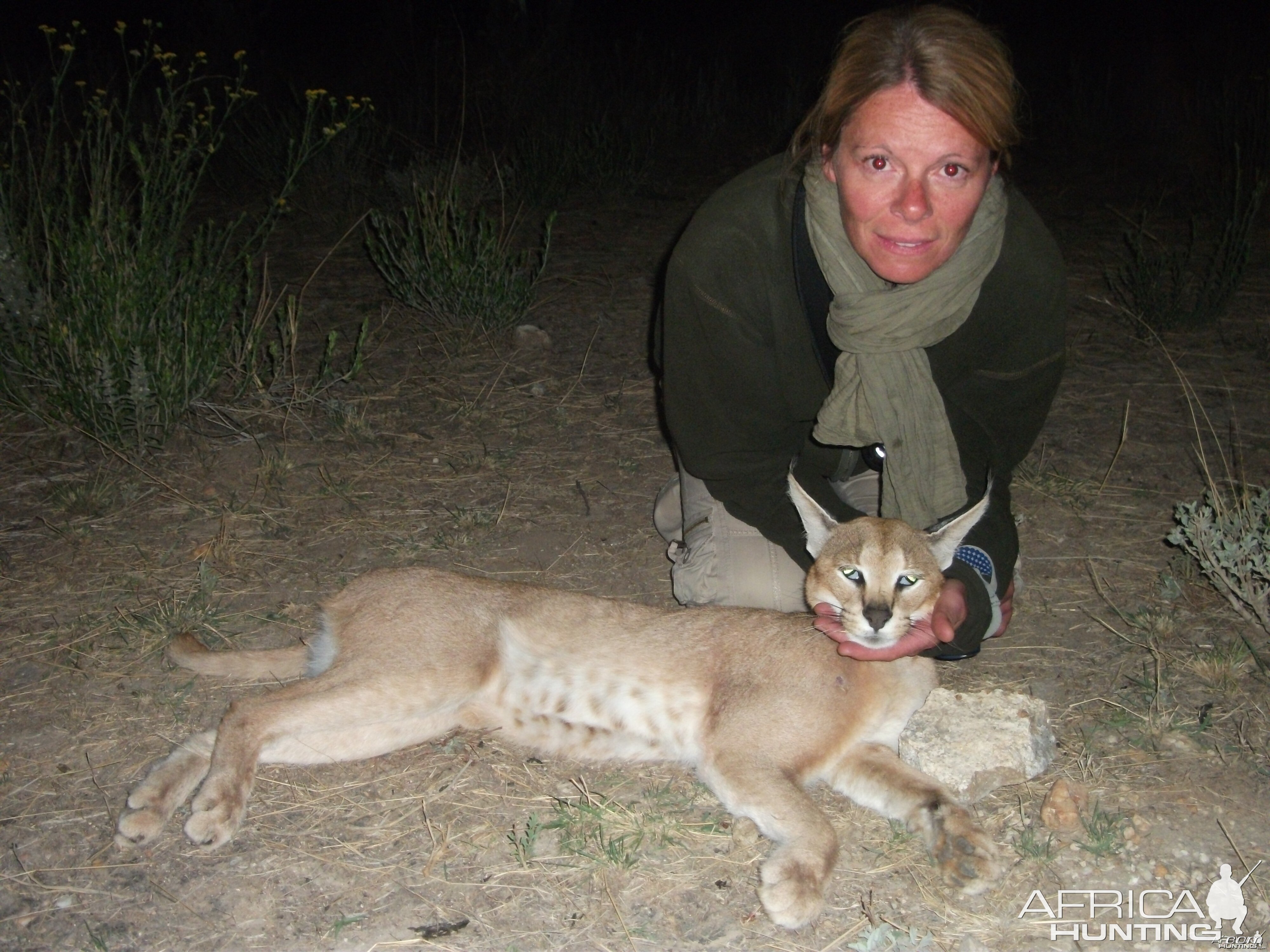 Hunting Caracal in Namibia