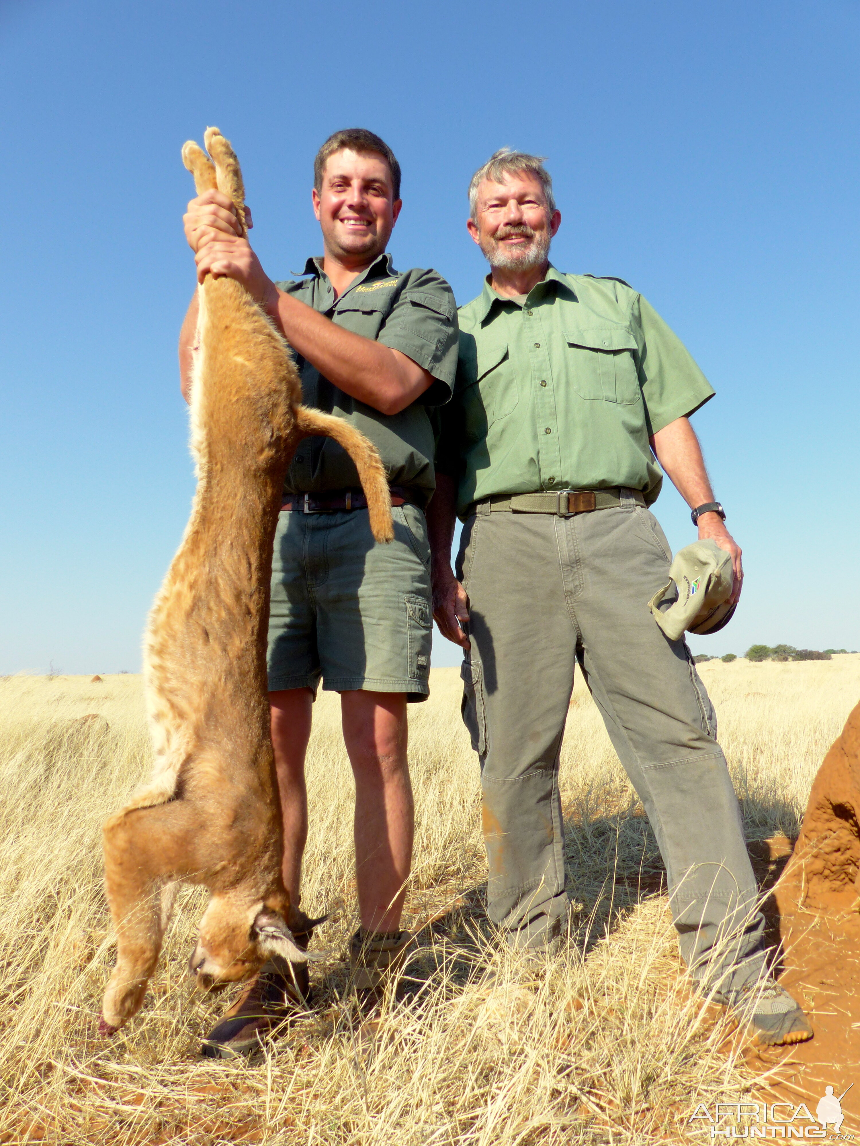 Hunting Caracal in South Africa