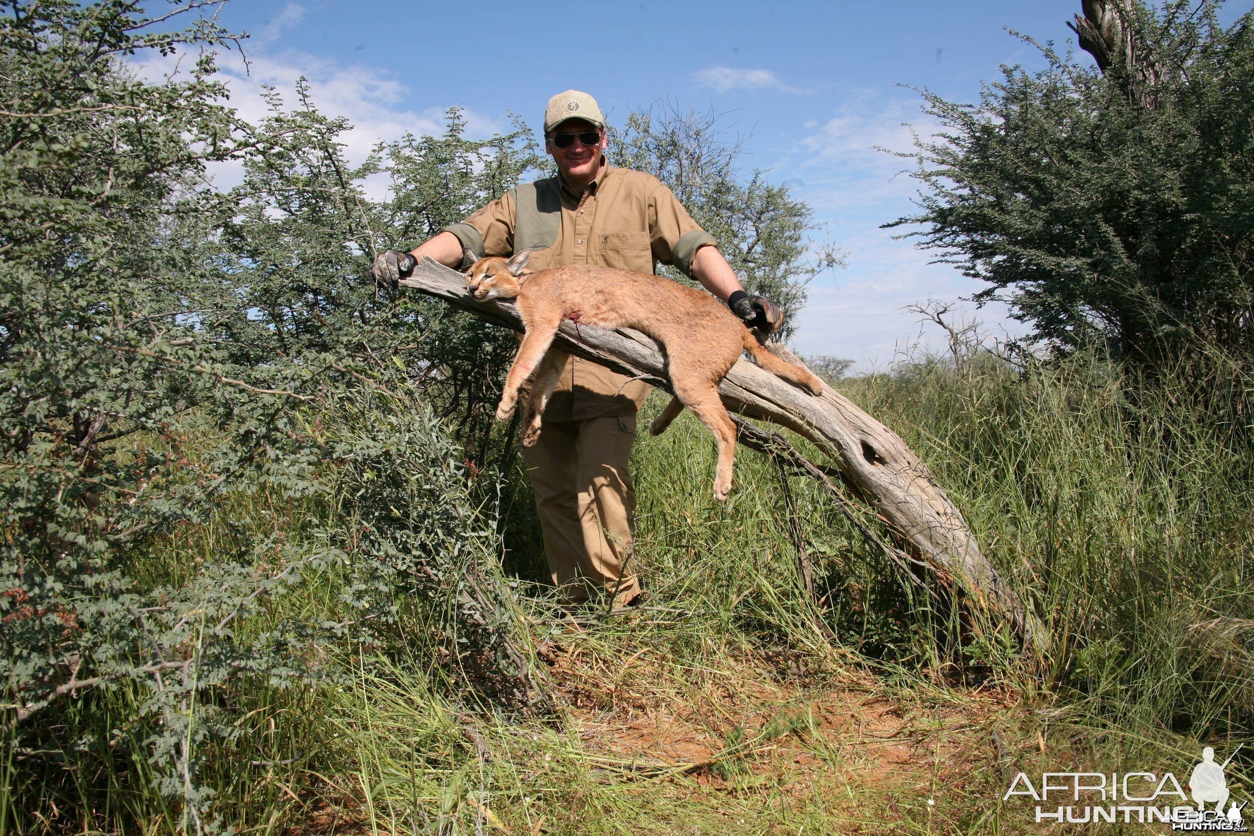 Hunting Caracal - Taras Volgemut Russia