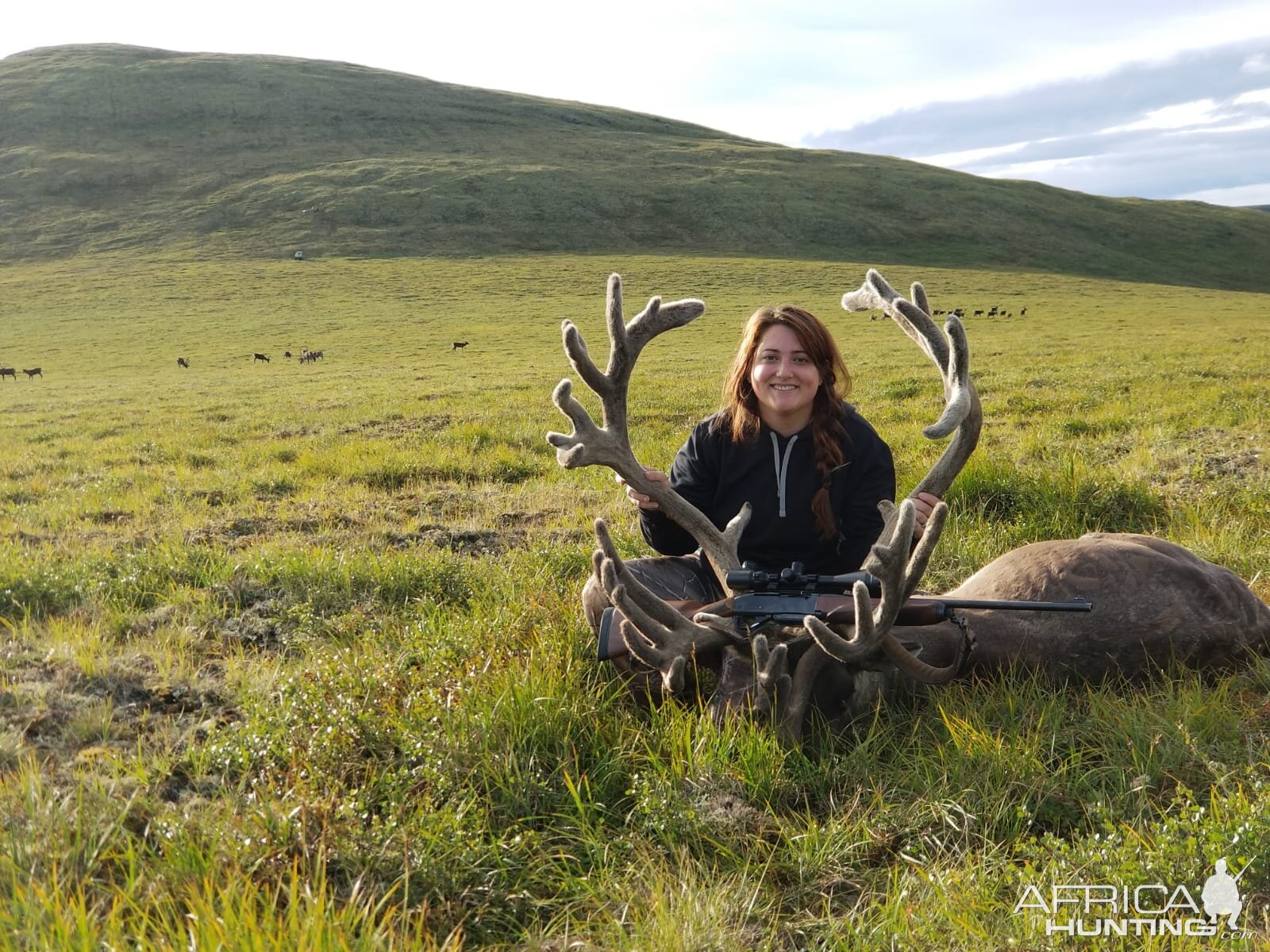 Hunting Caribou in USA
