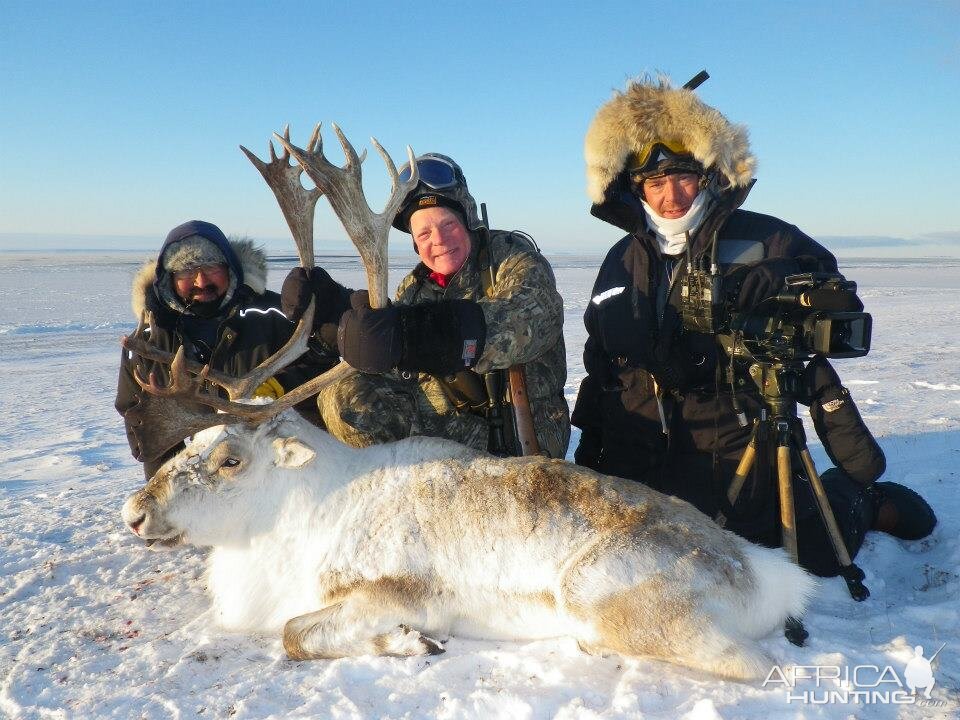 Hunting Caribou