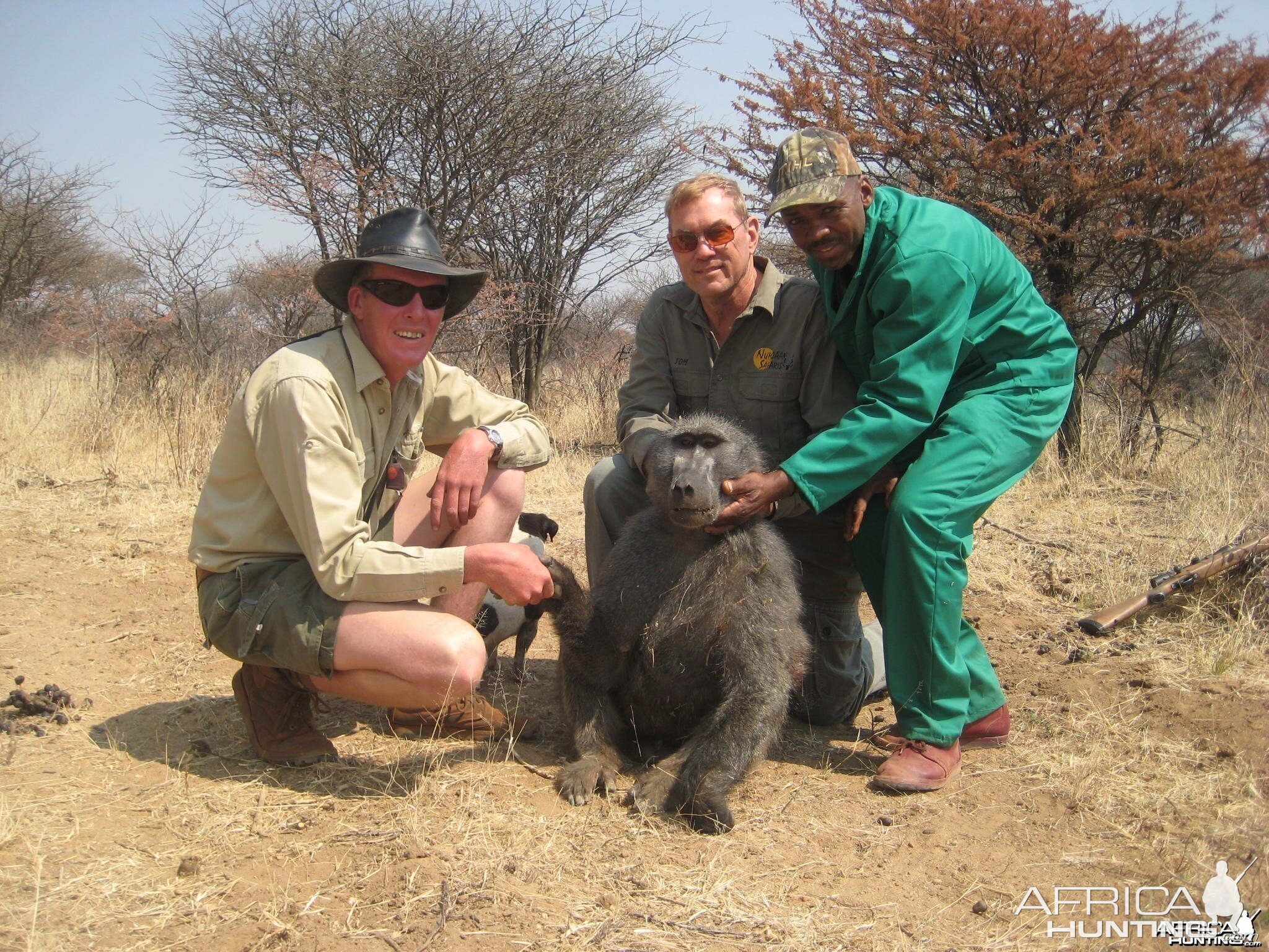 Hunting Chacma Baboon in Namibia