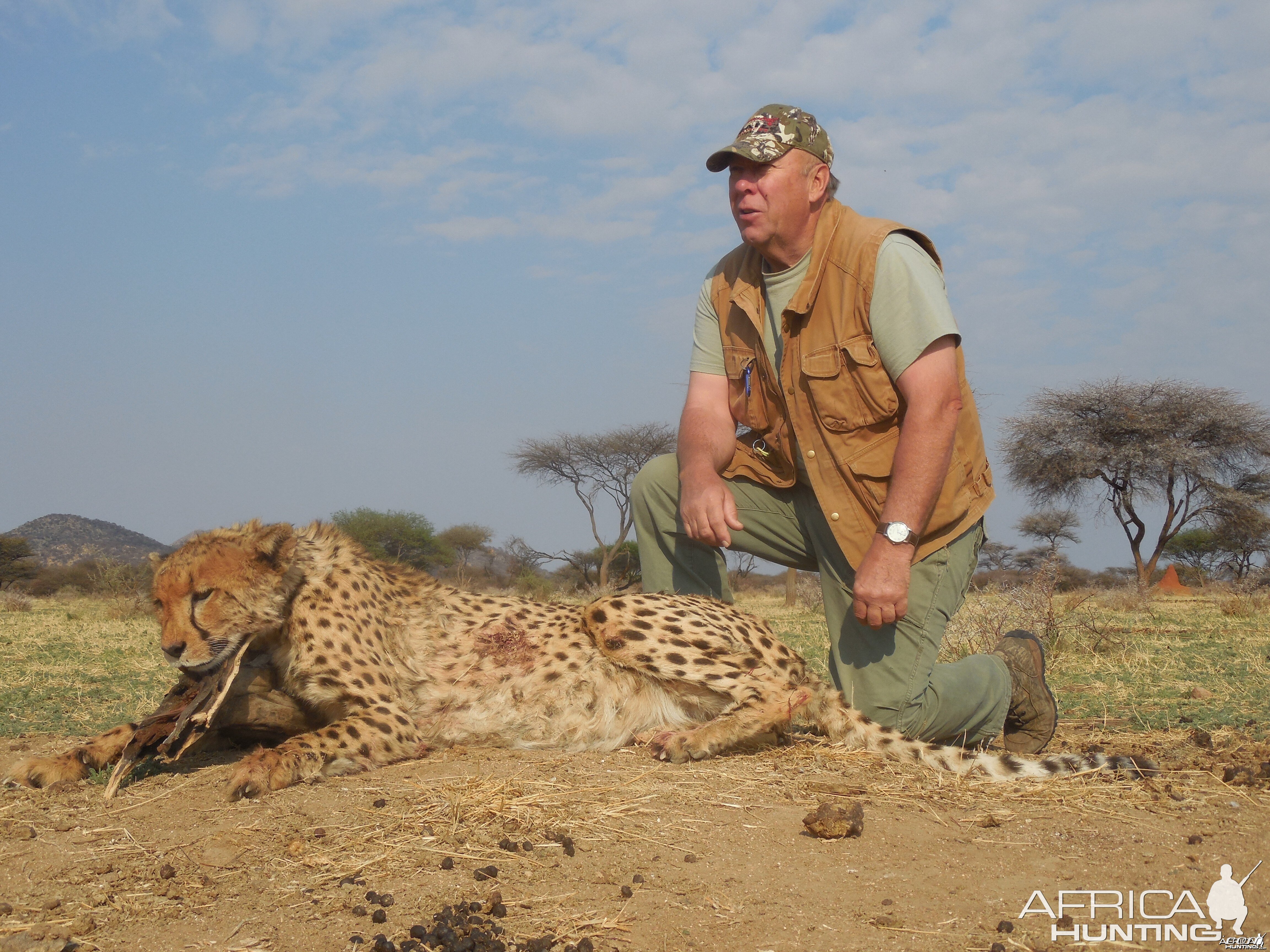 Hunting Cheetah at Ozondjahe Hunting Safaris in Namibia