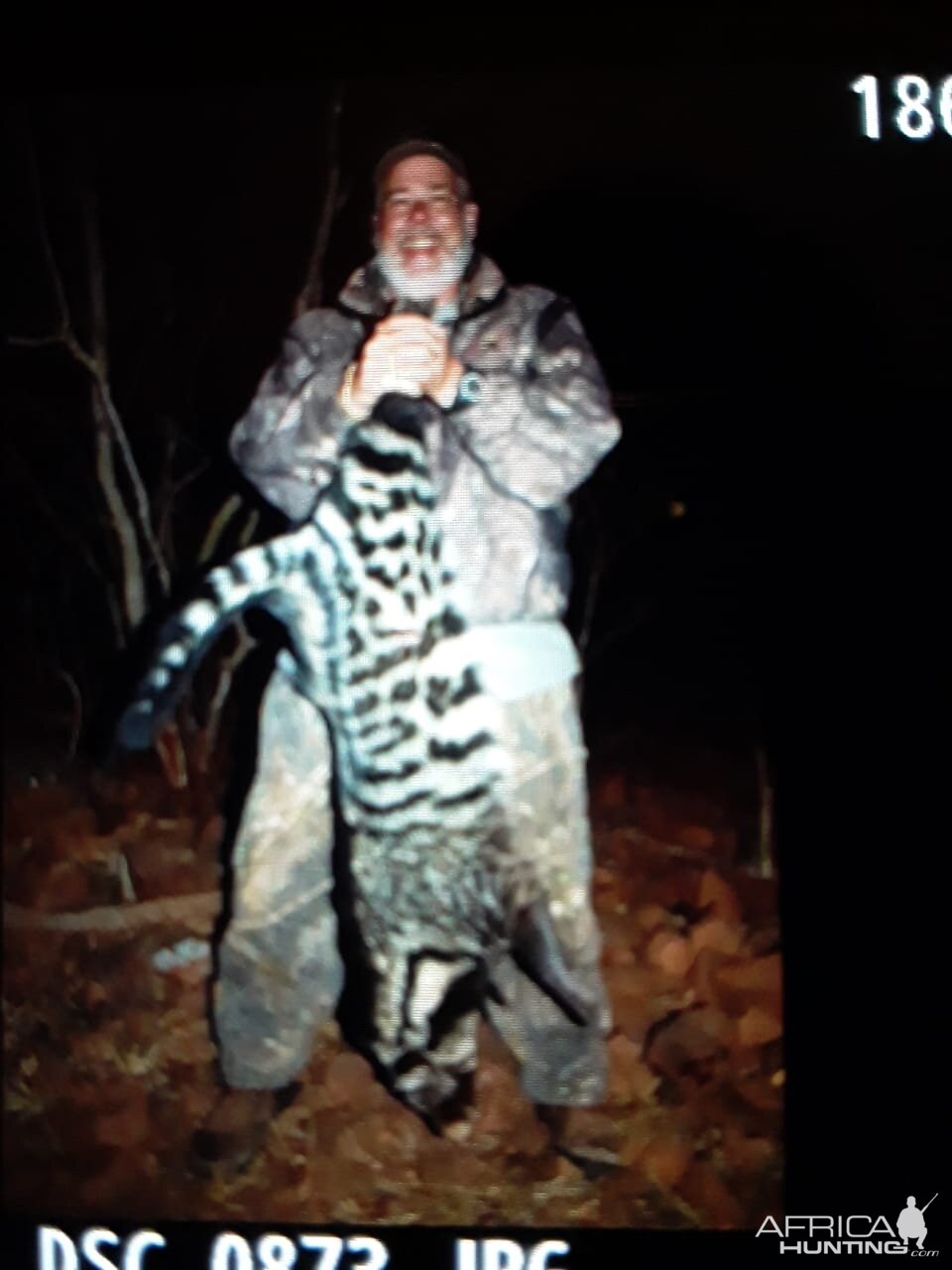 Hunting Civet Cat in South Africa