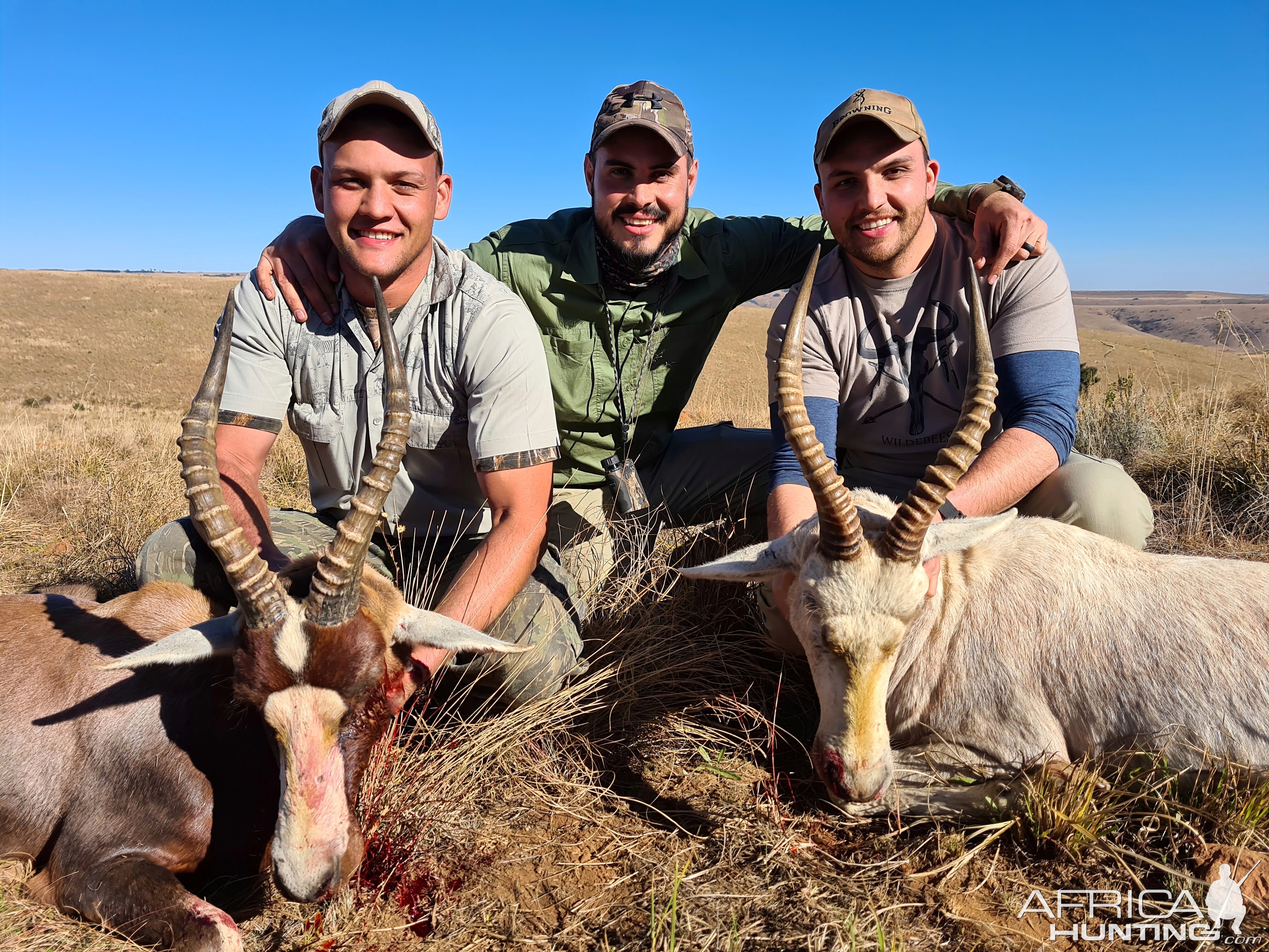 Hunting Common Blesbok & White Blesbok in South Africa