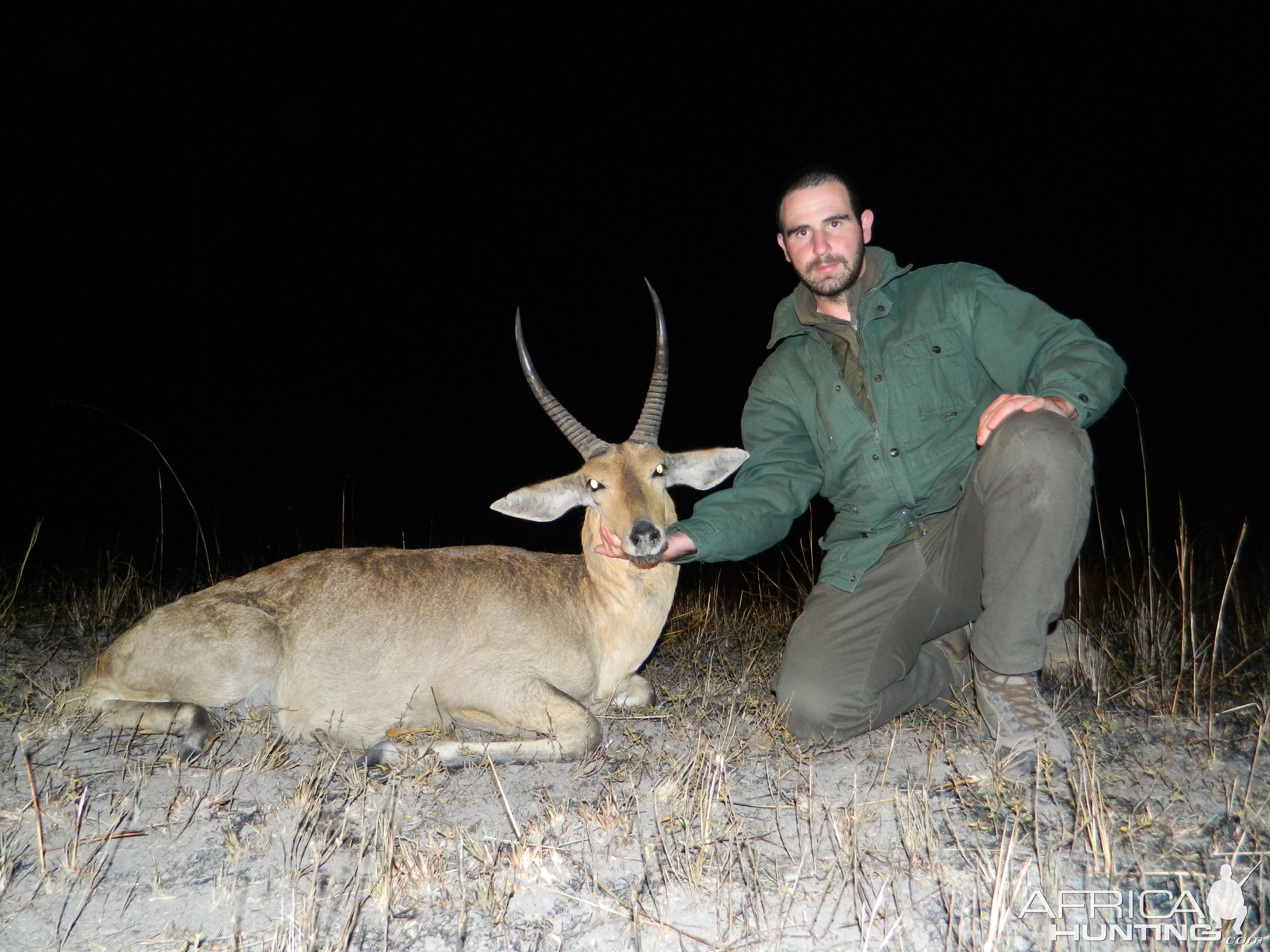 Hunting Common Reedbuck South Africa