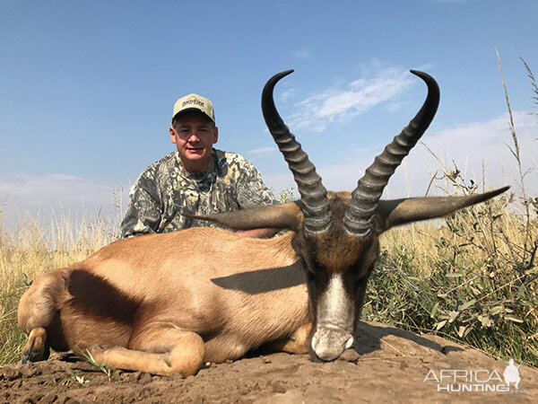 Hunting Copper Springbok in South Africa