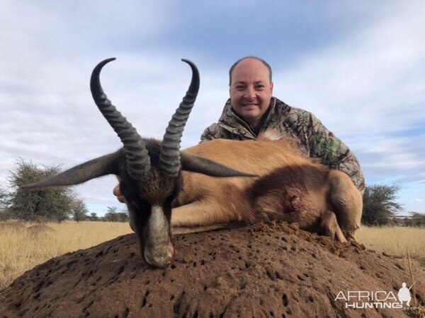 Hunting Copper Springbok in South Africa