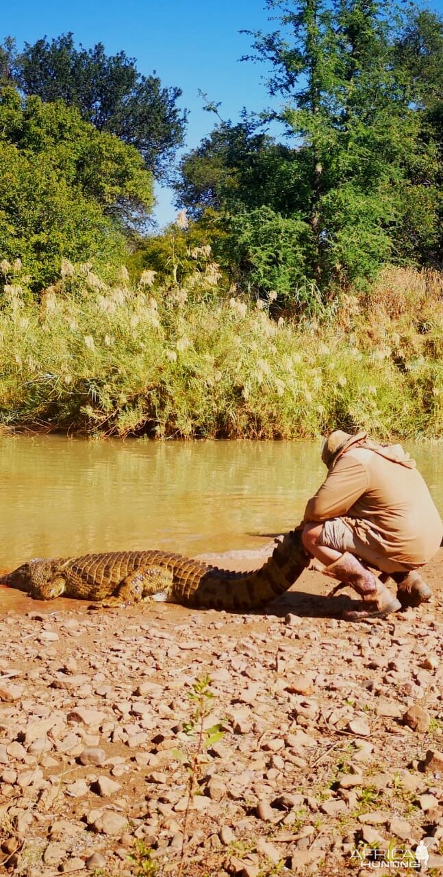 Hunting Crocodile in South Africa