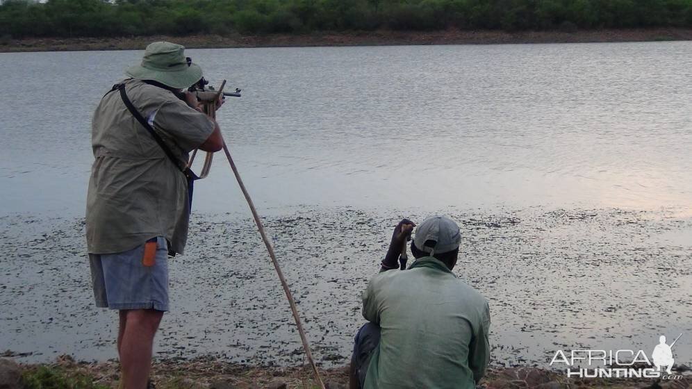 Hunting Crocodile in Zimbabwe