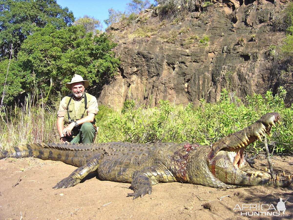 Hunting Crocodile